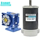 12 volt gear reduction motor